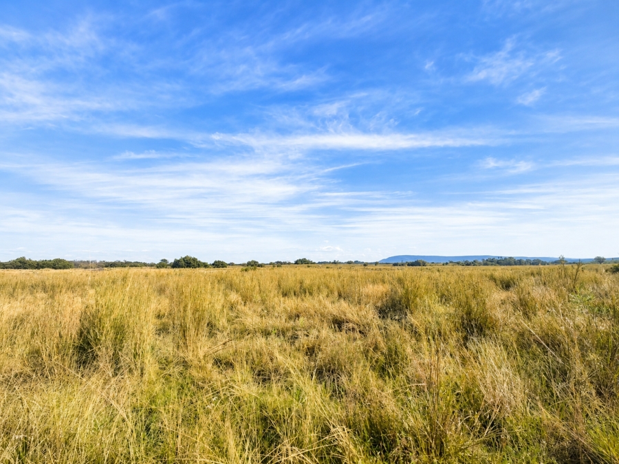 Commercial Property for Sale in Swartruggens North West